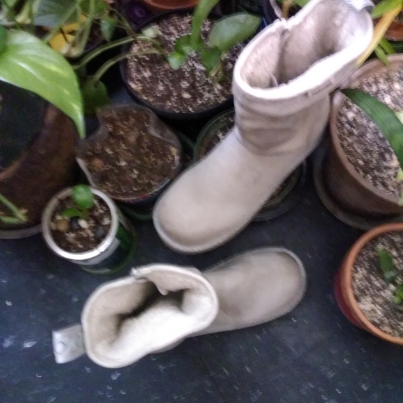 Muk Luks Women's Beige Winter Boots - Picture 7 of 15